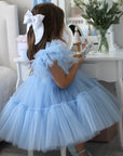 Princess Fairytale - Blue Dress