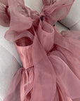 Princess Rose Dress