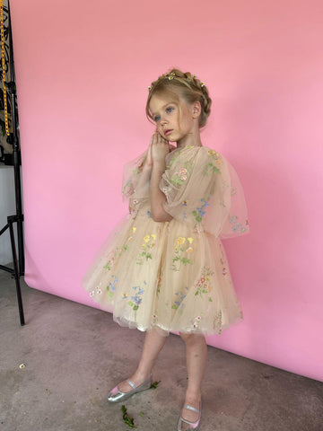Fairy Dust Dress - Made to order
